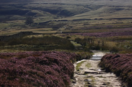 Bronte Country - on the moors near Top Withens